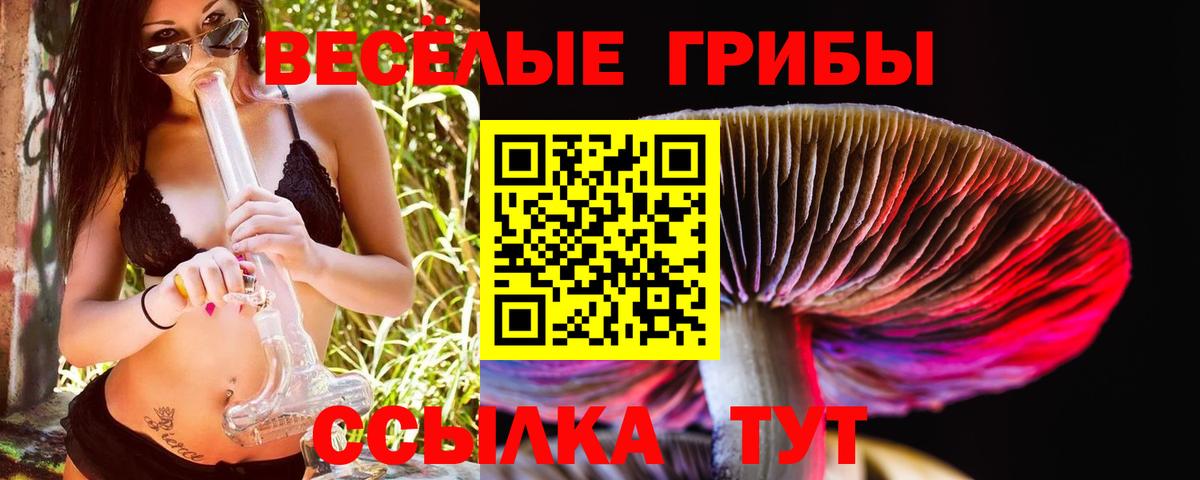 Псилоцибиновые грибы Magic Shrooms Тара