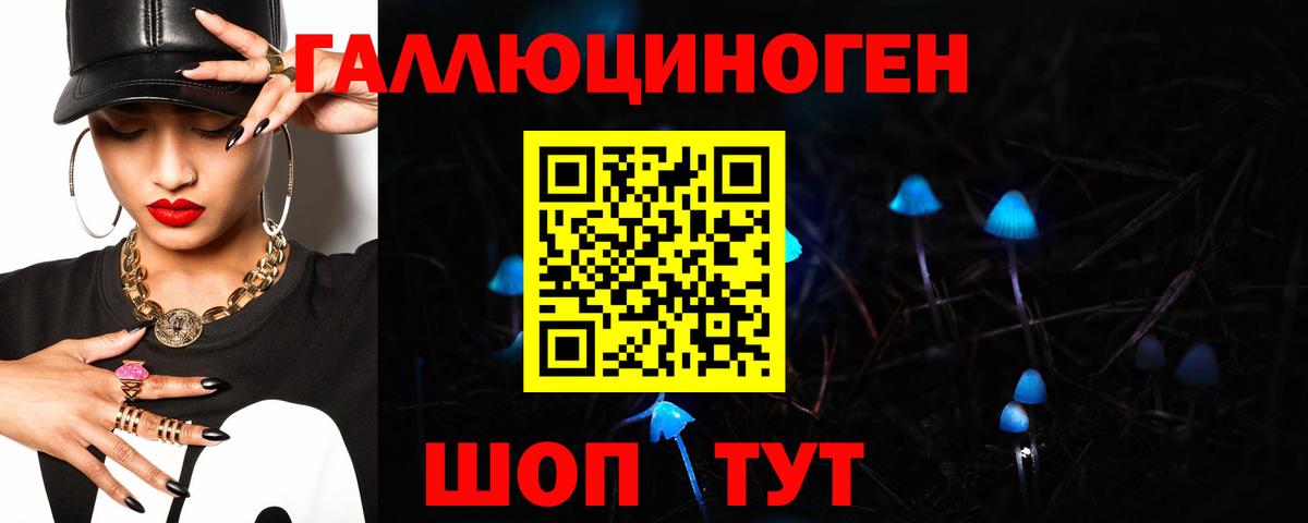 даркнет сайт  Вход с VPN  Галлюциногенные грибы Psilocybine cubensis  Тара  Галлюциногенные грибы мицелий 