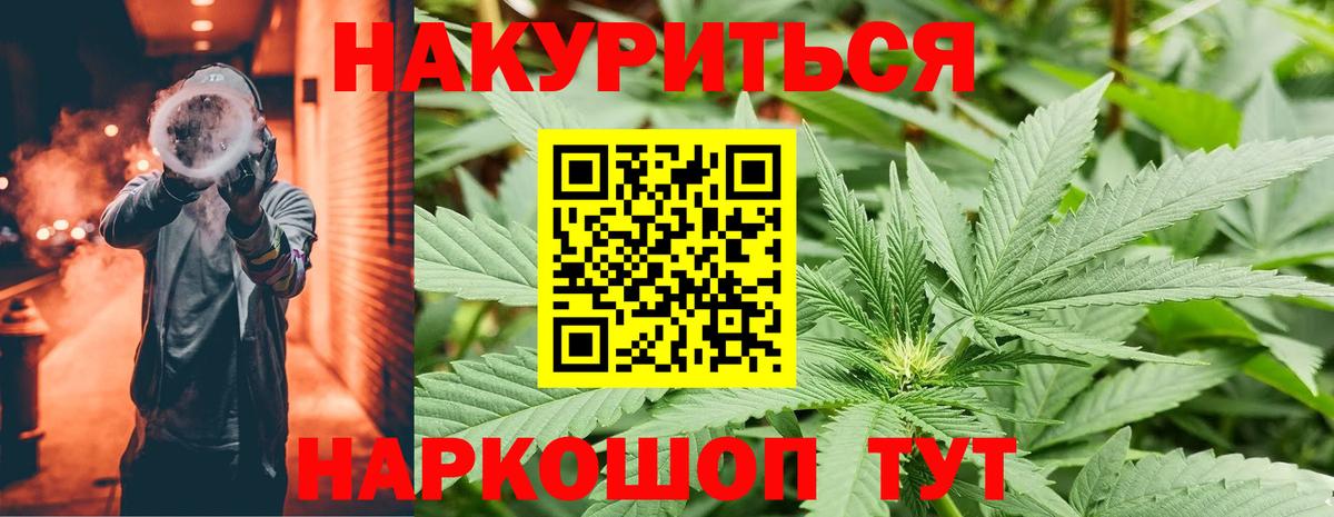 Канабис сатива  Канабис индика  Тара  Марихуана AK-47  Вход с VPN 